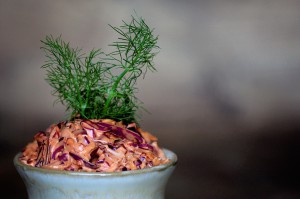 Red Cabbage & Fennel 2